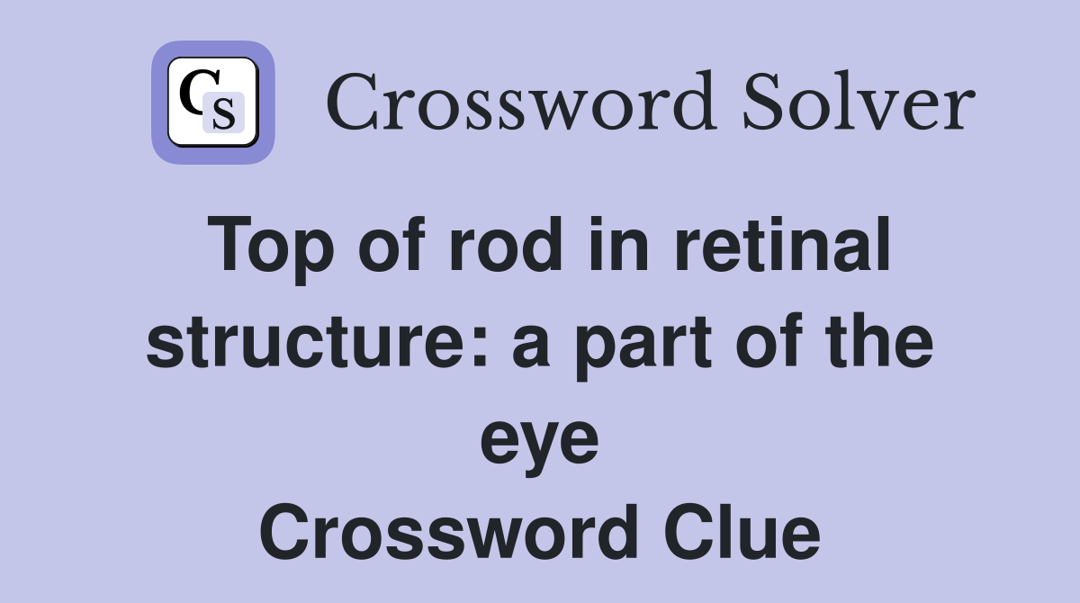 Top of rod in retinal structure: a part of the eye Crossword Clue