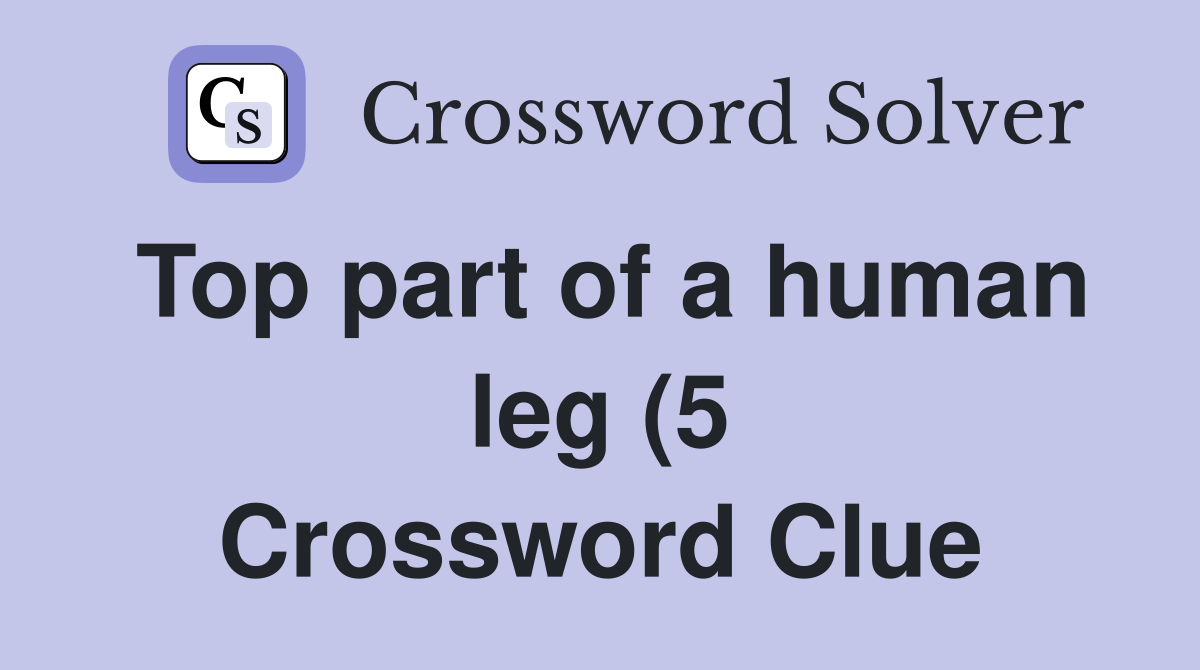 Top part of a human leg (5) Crossword Clue Answers Crossword Solver Top part of a human leg (5) Crossword Clue Answers Crossword Solver