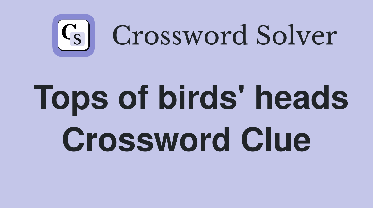 Tops of birds' heads Crossword Clue