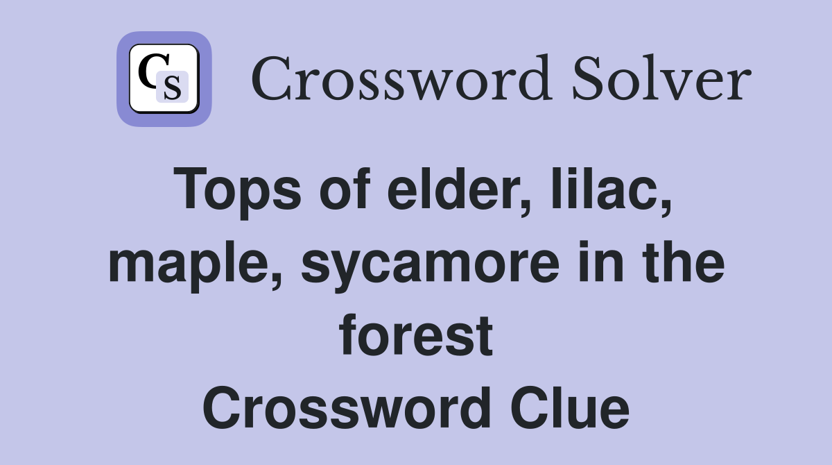 Tops of elder, lilac, maple, sycamore in the forest Crossword Clue
