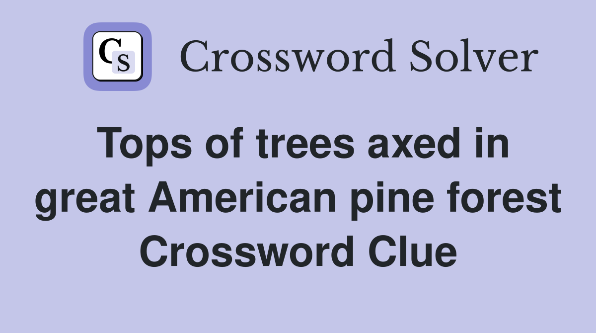 Tops of trees axed in great American pine forest Crossword Clue
