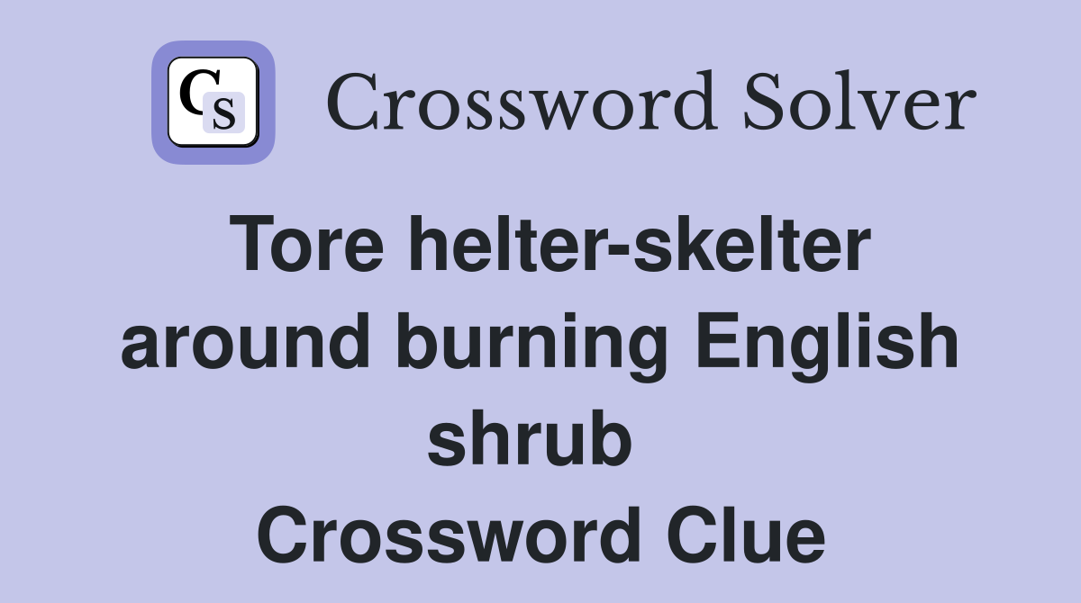 Tore helter-skelter around burning English shrub  Crossword Clue