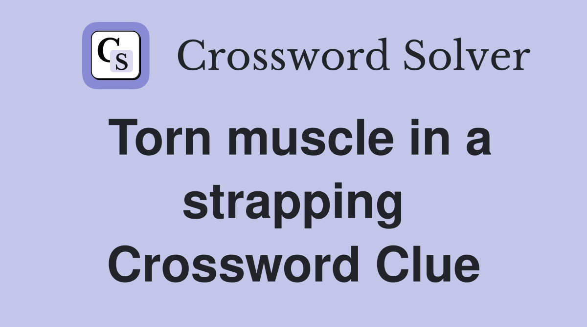 Torn muscle in a strapping Crossword Clue