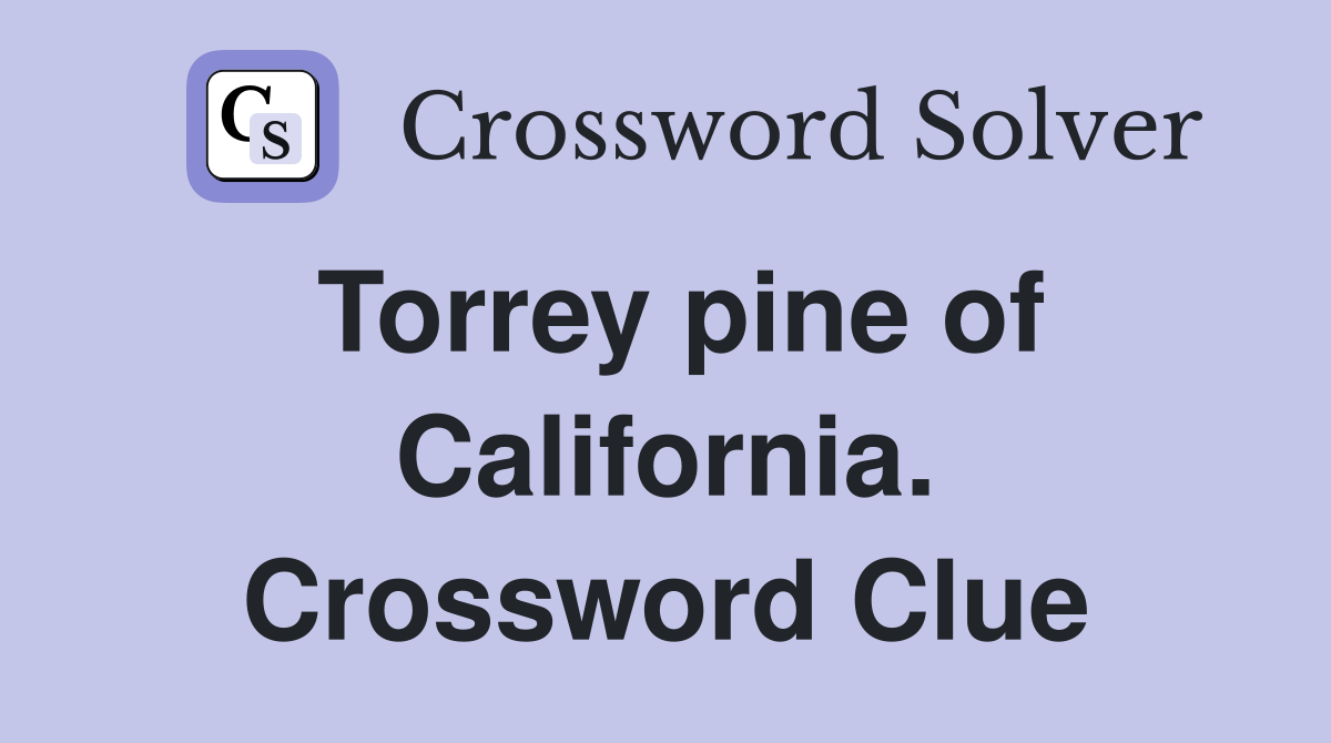 Torrey pine of California. Crossword Clue