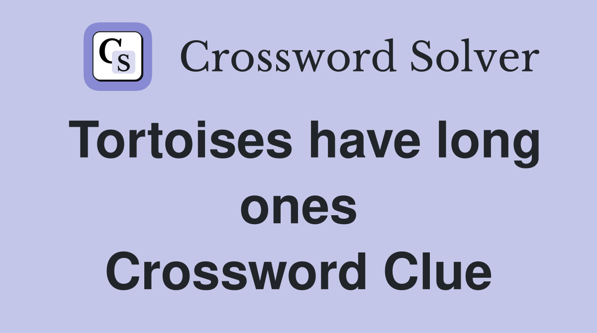 Tortoises have long ones Crossword Clue