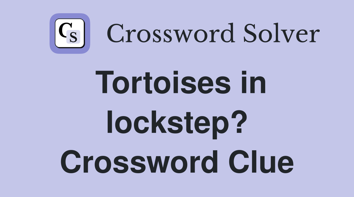 Tortoises in lockstep? Crossword Clue