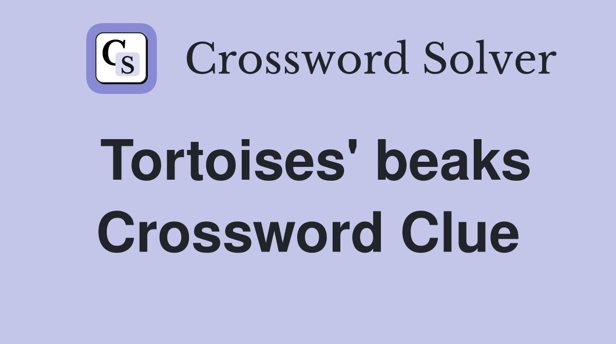 Tortoises' beaks Crossword Clue
