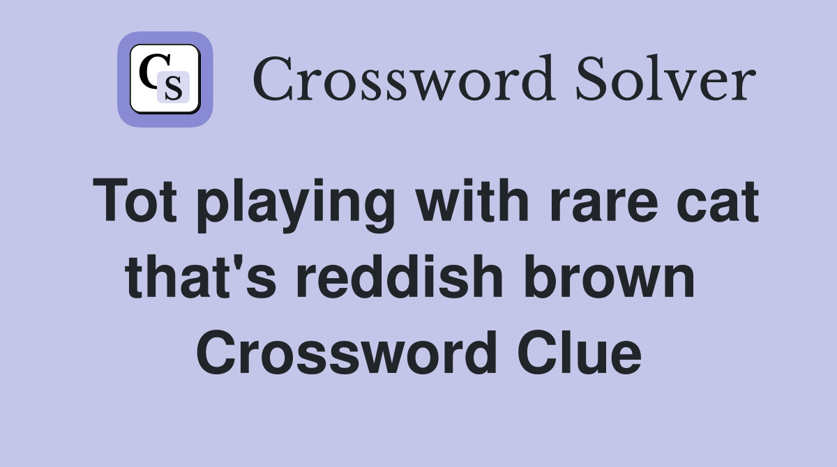 Tot playing with rare cat that's reddish brown  Crossword Clue