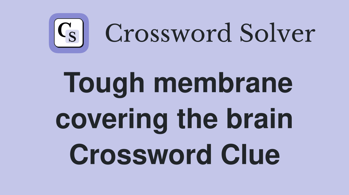 Tough membrane covering the brain Crossword Clue