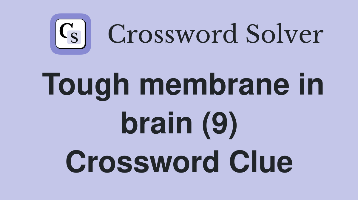 Tough membrane in brain (9) Crossword Clue