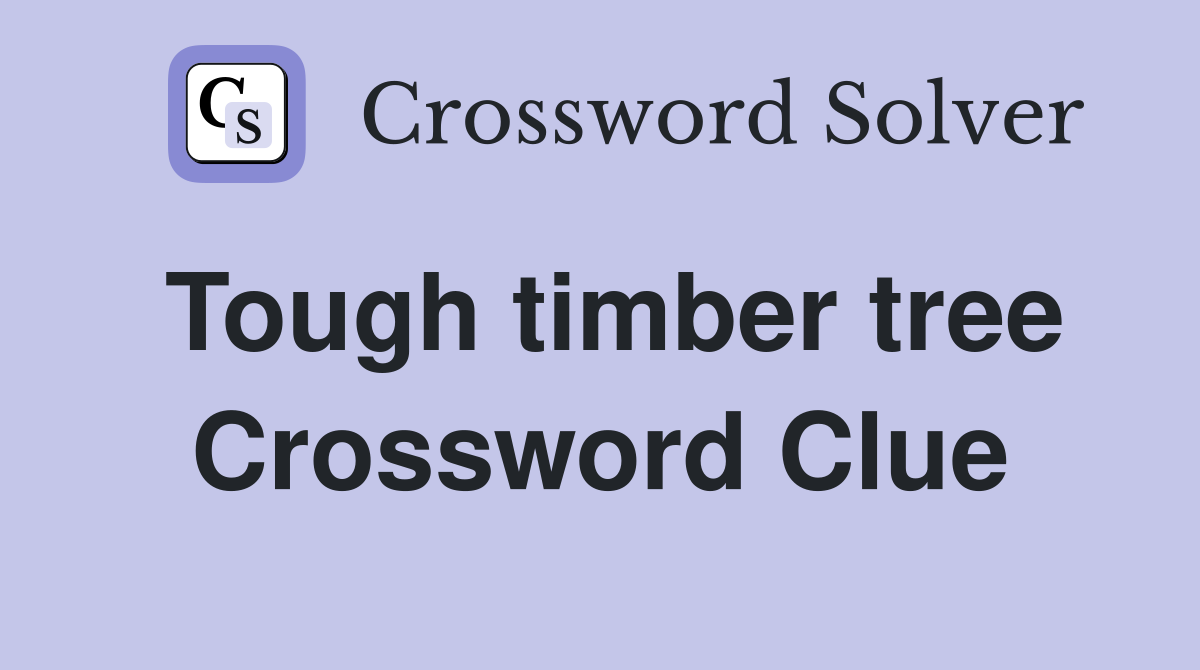 Tough timber tree Crossword Clue
