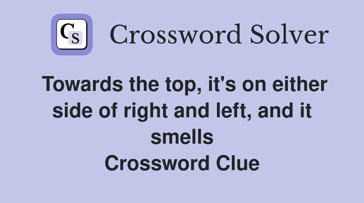 Towards the top, it's on either side of right and left, and it smells Crossword Clue