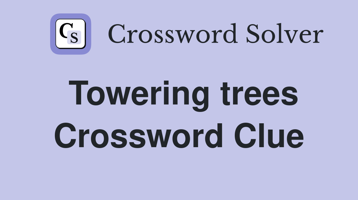 Towering trees Crossword Clue