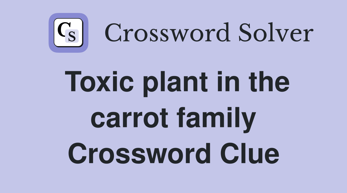 Toxic plant in the carrot family Crossword Clue