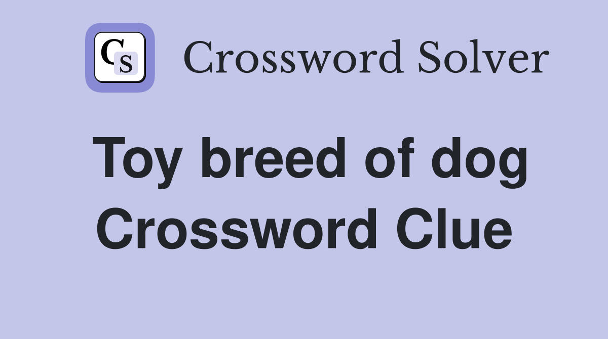 Toy breed of dog Crossword Clue