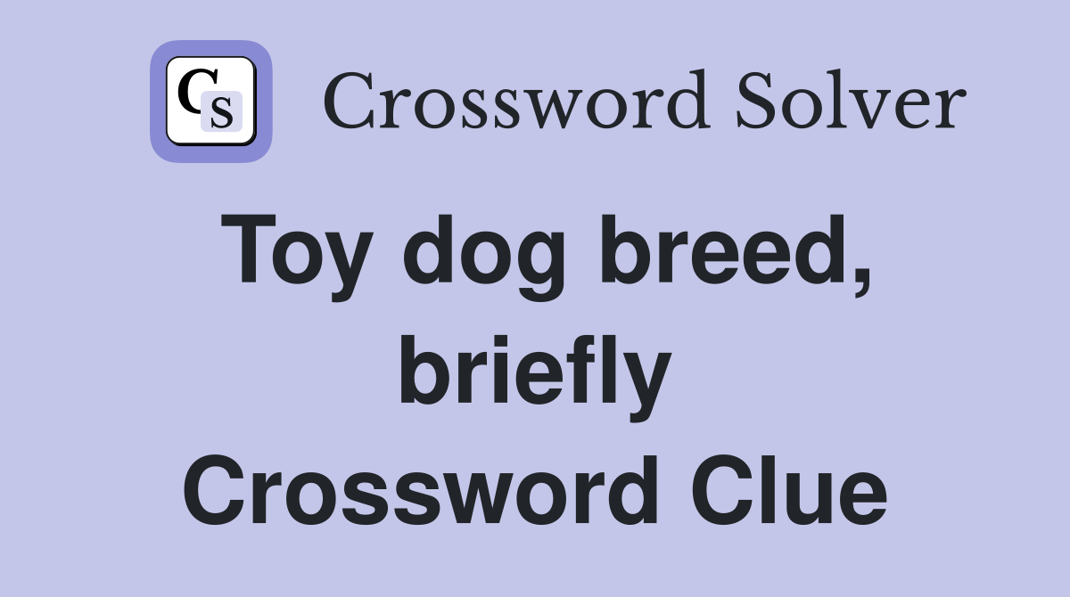 Toy dog breed, briefly Crossword Clue