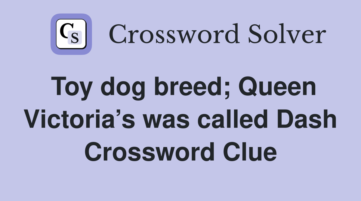 Toy dog breed; Queen Victoria’s was called Dash Crossword Clue