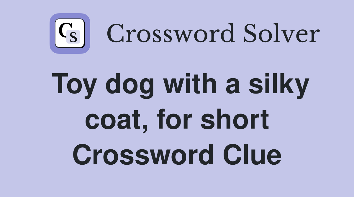 Toy dog with a silky coat, for short Crossword Clue