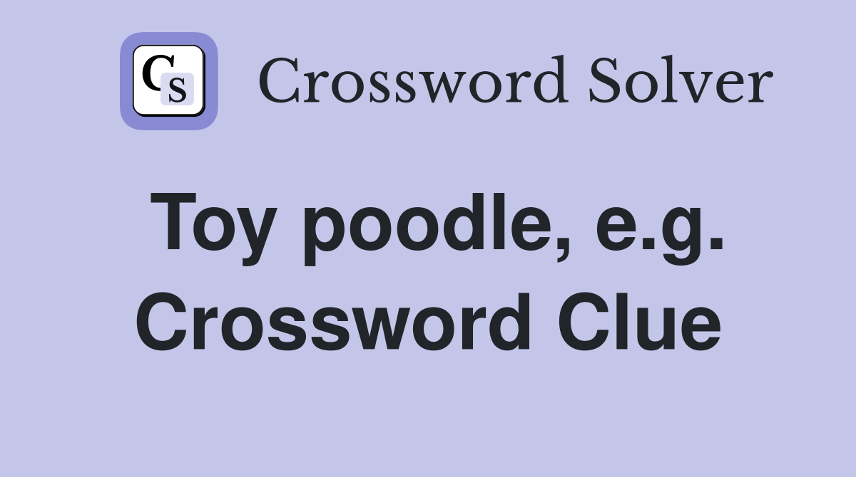 Toy poodle, e.g. Crossword Clue