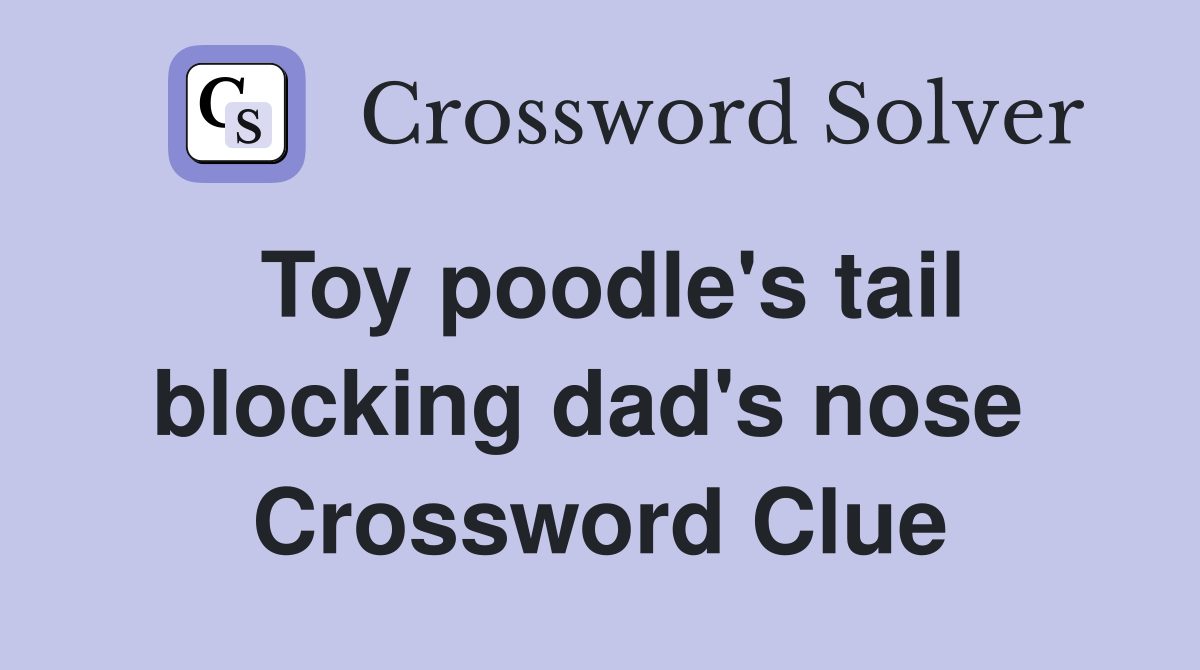 Toy poodle's tail blocking dad's nose  Crossword Clue