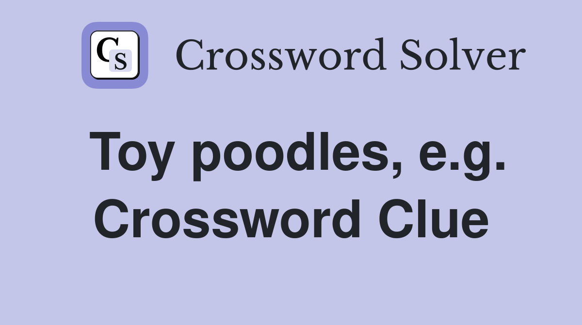 Toy poodles, e.g. Crossword Clue