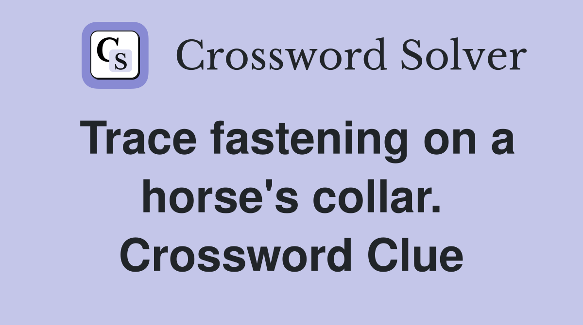 Trace fastening on a horse's collar. Crossword Clue