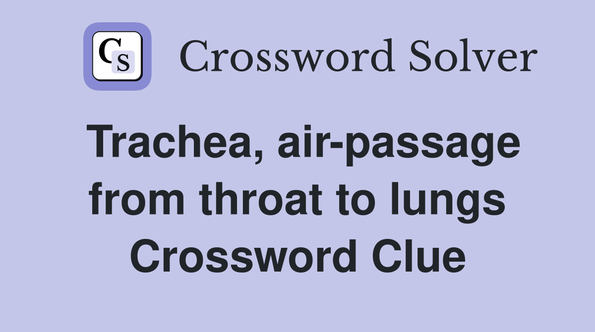 Trachea, air-passage from throat to lungs Crossword Clue