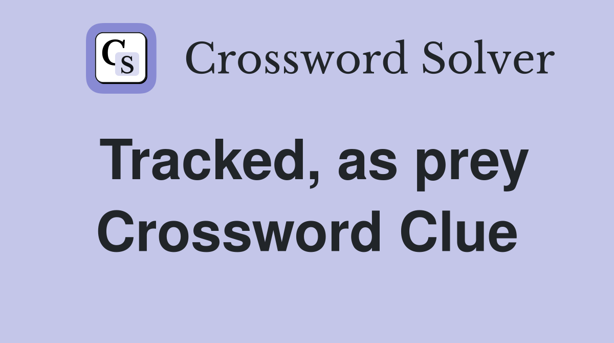 Tracked, as prey Crossword Clue
