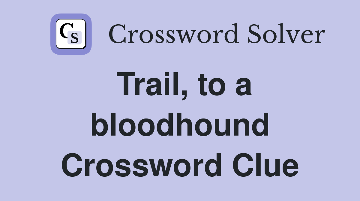 Trail, to a bloodhound Crossword Clue