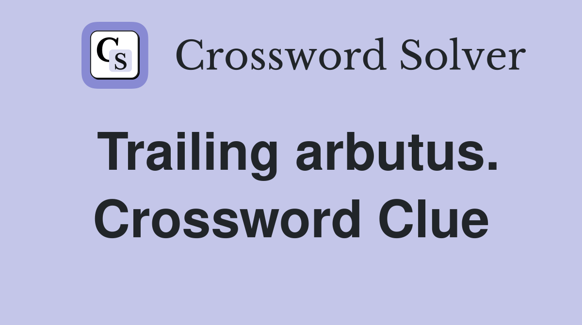 Trailing arbutus. Crossword Clue
