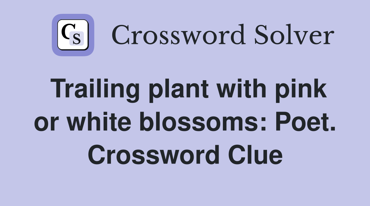 Trailing plant with pink or white blossoms: Poet. Crossword Clue