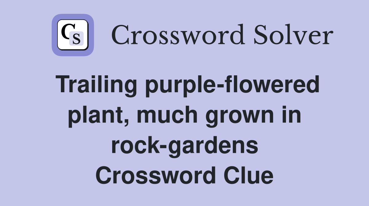 Trailing purple-flowered plant, much grown in rock-gardens Crossword Clue