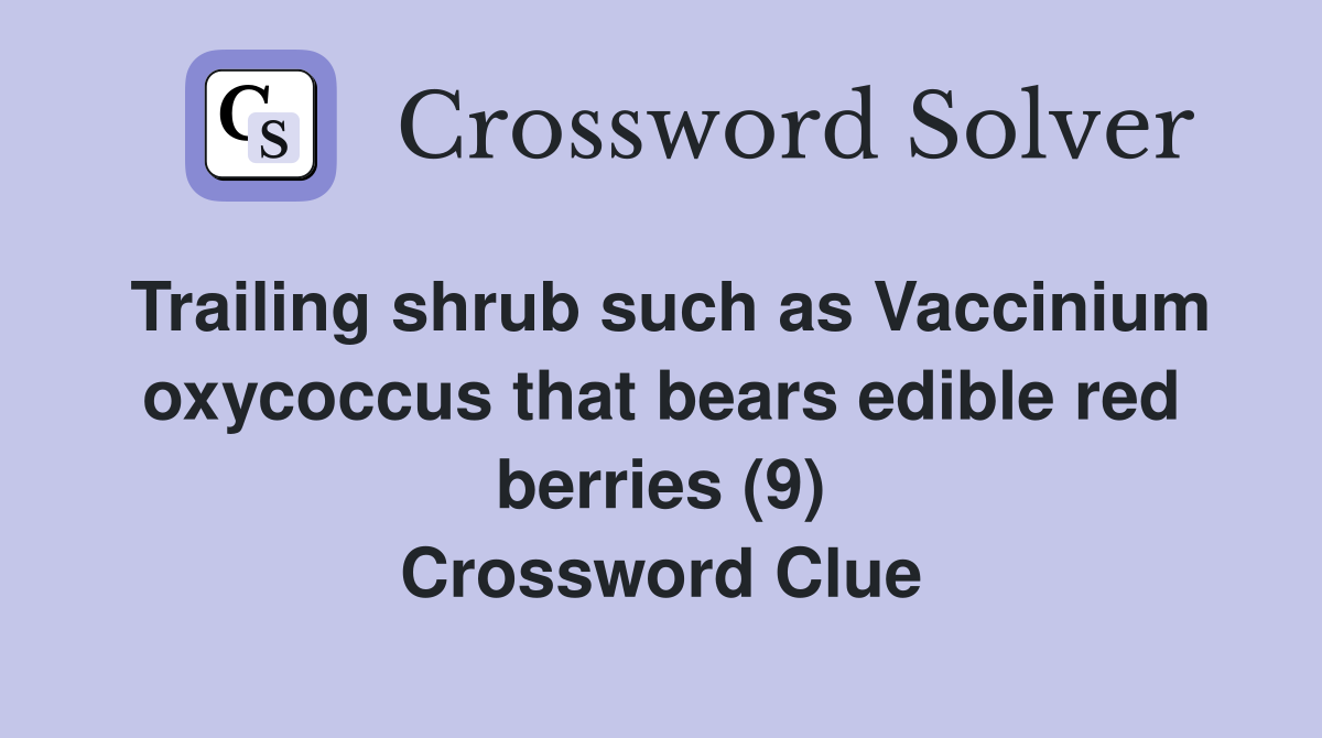 Trailing shrub such as Vaccinium oxycoccus that bears edible red berries (9) Crossword Clue