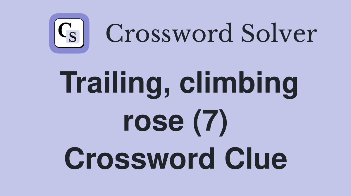 Trailing, climbing rose (7) Crossword Clue
