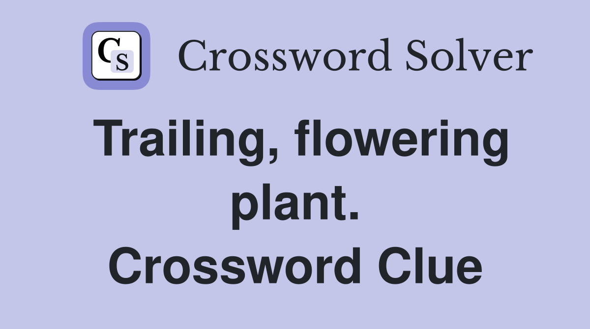 Trailing, flowering plant. Crossword Clue