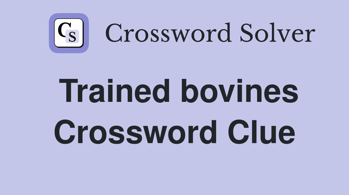 Trained bovines Crossword Clue