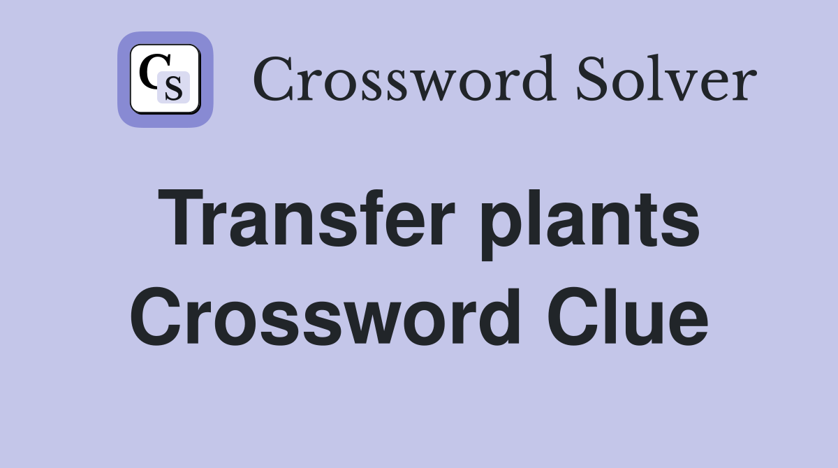 Transfer plants Crossword Clue