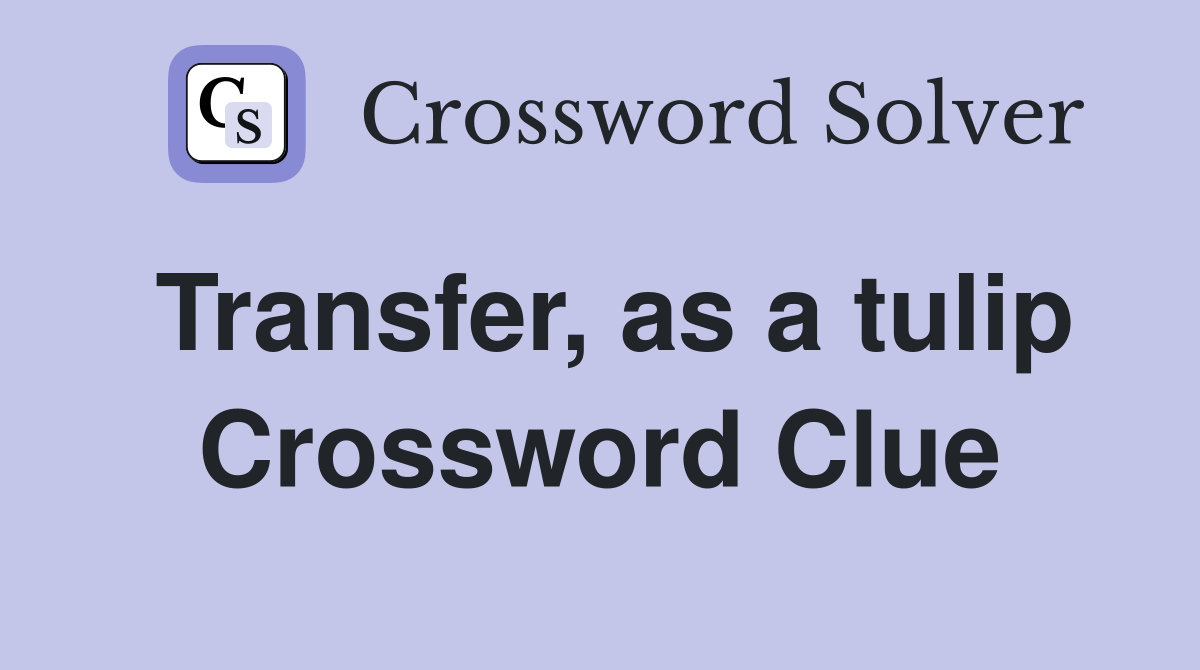 Transfer, as a tulip Crossword Clue