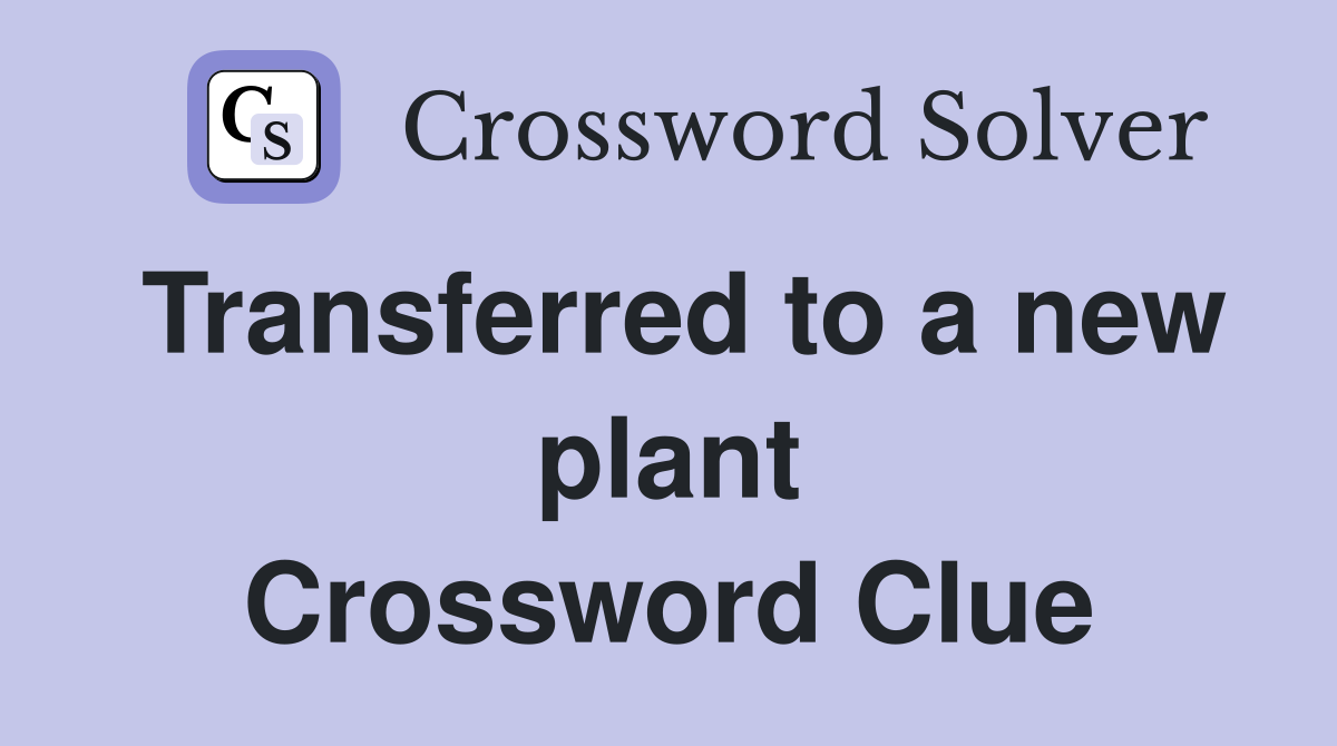 Transferred to a new plant Crossword Clue