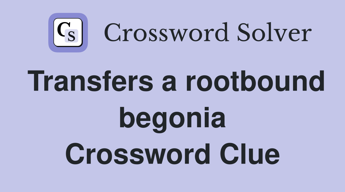 Transfers a rootbound begonia Crossword Clue