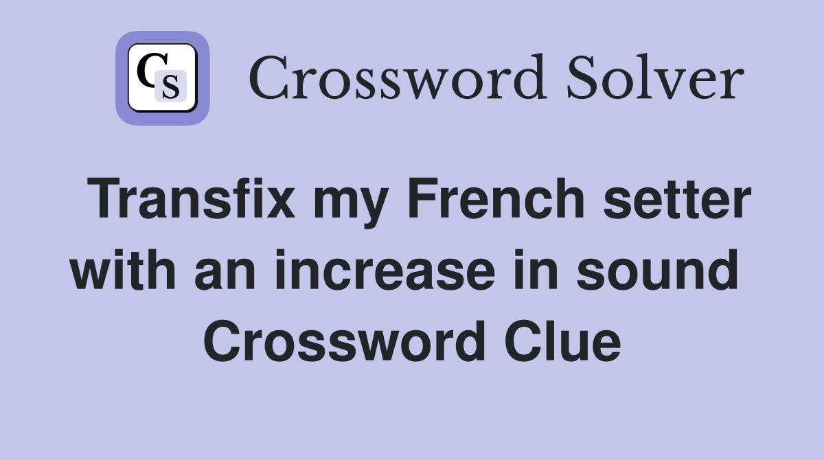 Transfix my French setter with an increase in sound  Crossword Clue