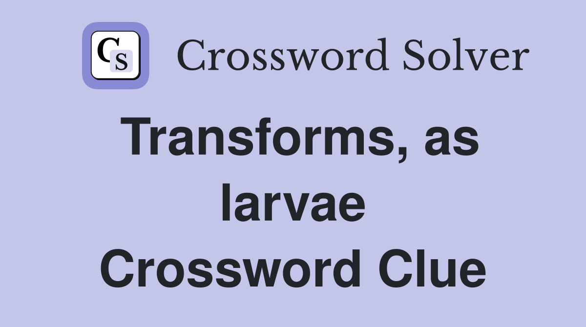 Transforms, as larvae Crossword Clue