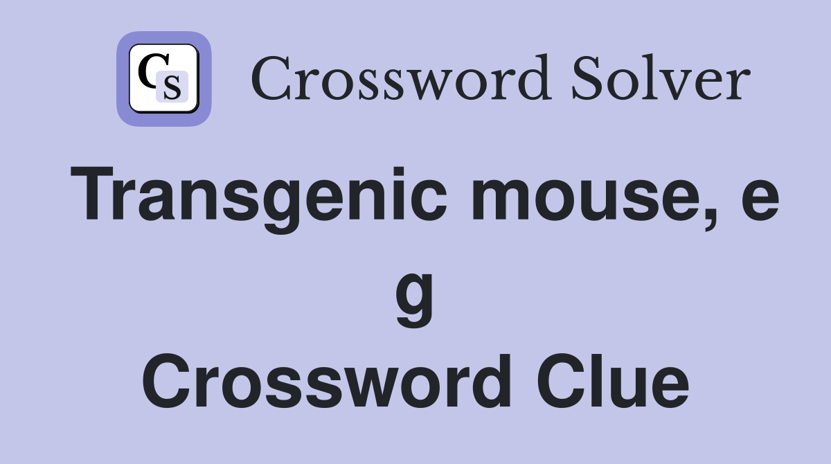Transgenic mouse, e g Crossword Clue