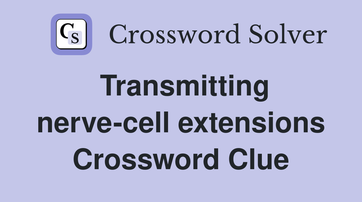 Transmitting nerve-cell extensions Crossword Clue