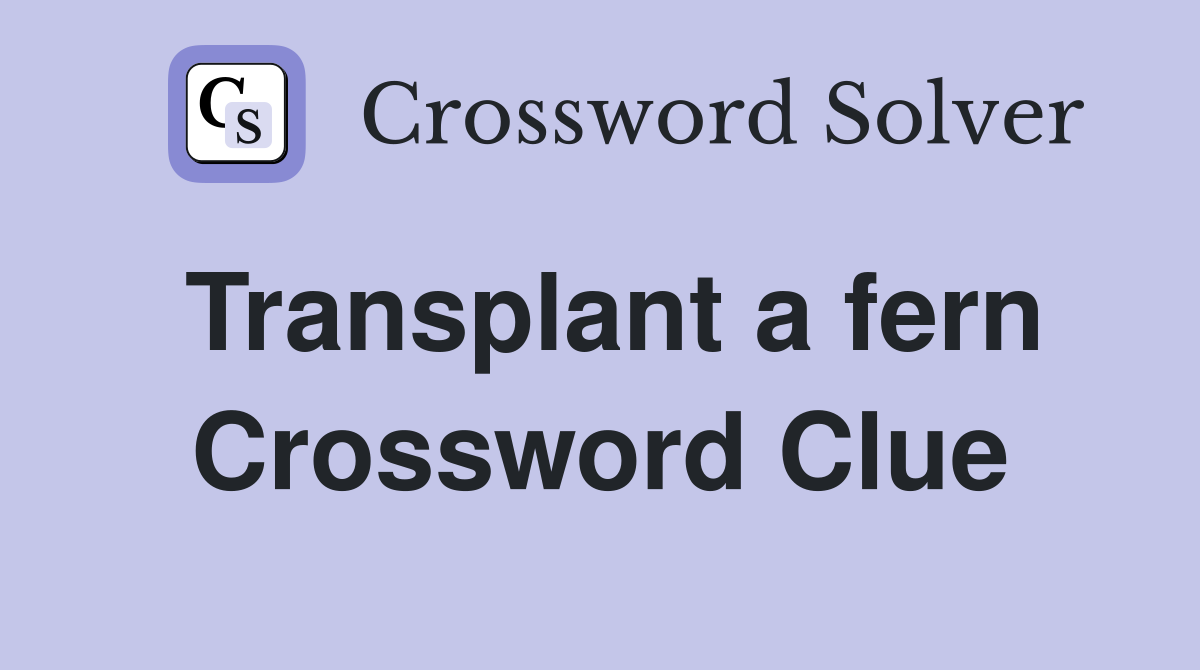 Transplant a fern Crossword Clue