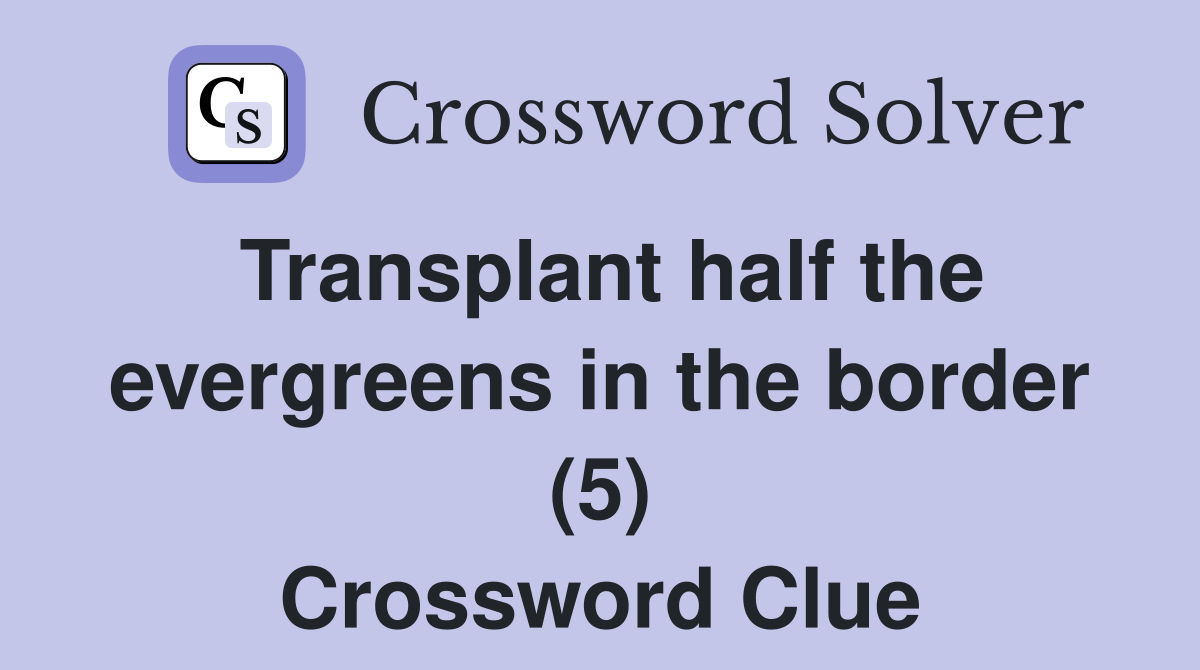 Transplant half the evergreens in the border (5) Crossword Clue