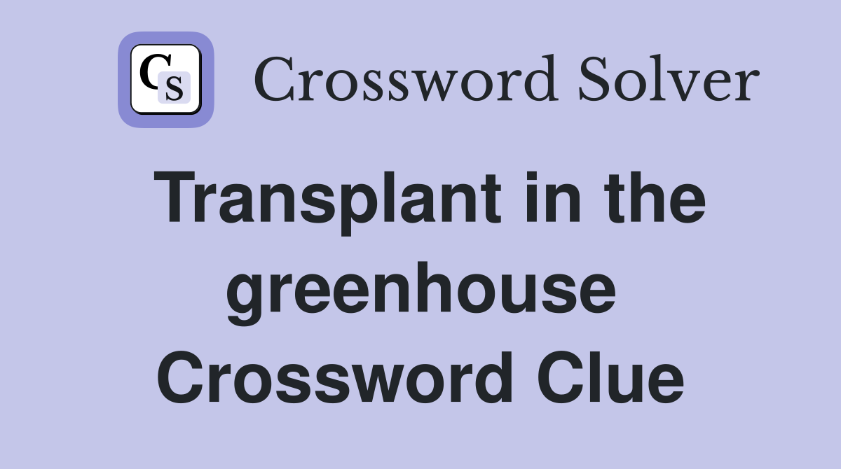 Transplant in the greenhouse Crossword Clue