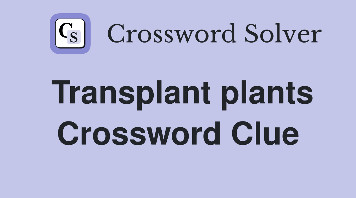 Transplant plants Crossword Clue