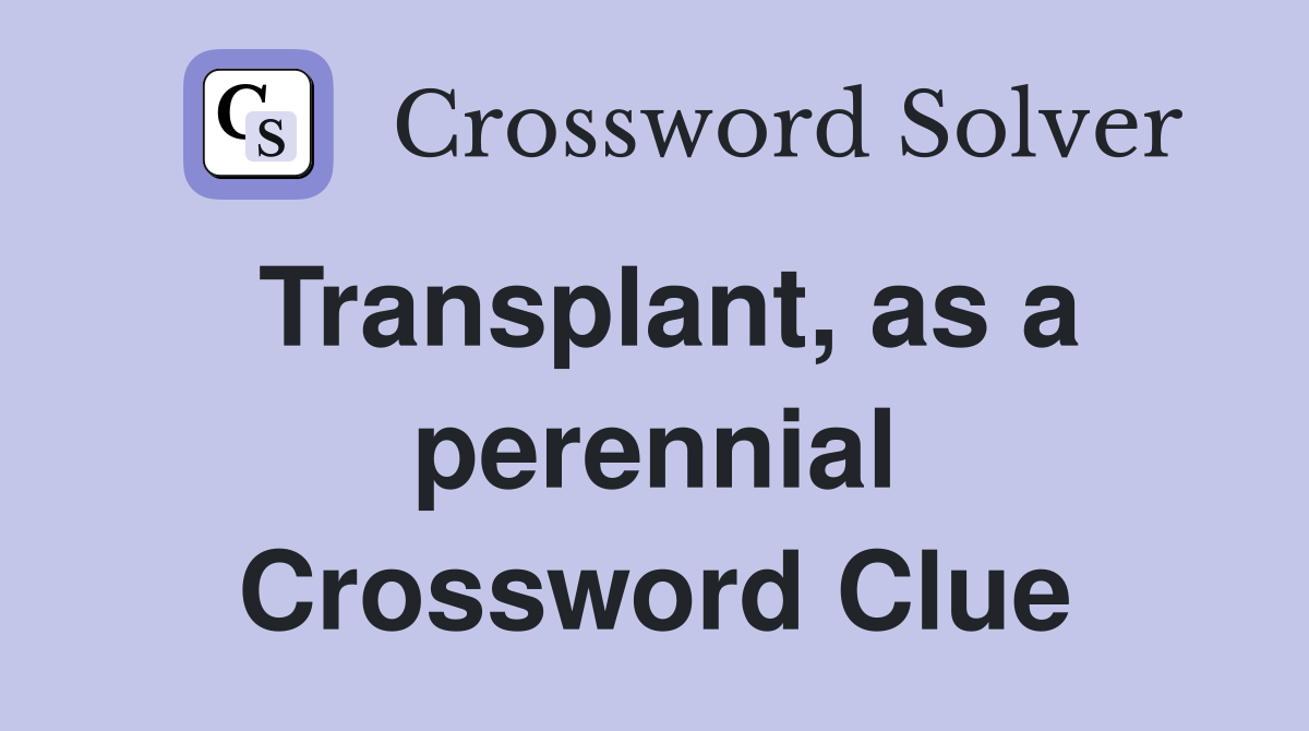 Transplant, as a perennial Crossword Clue