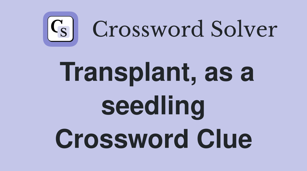 Transplant, as a seedling Crossword Clue